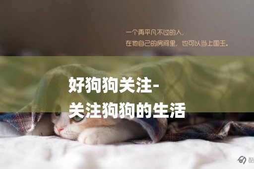 好狗狗關注-
關注狗狗的生活