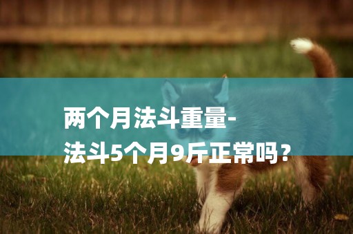 兩個月法斗重量-
法斗5個月9斤正常嗎？