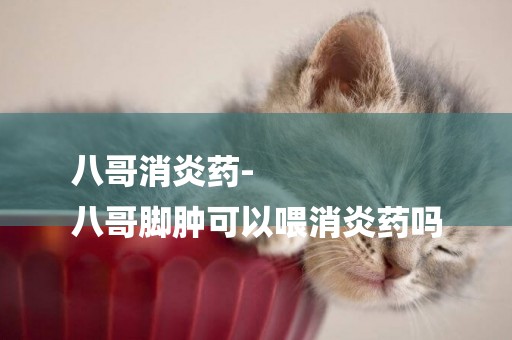 八哥消炎藥-
八哥腳腫可以喂消炎藥嗎