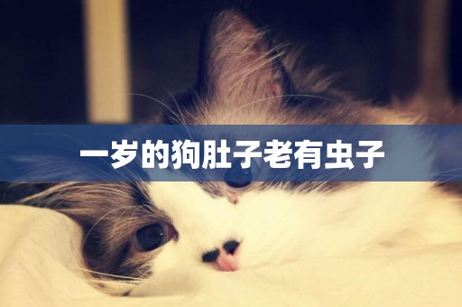 一歲的狗肚子老有蟲子