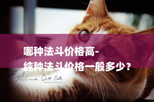 哪種法斗價格高-
純種法斗價格一般多少？