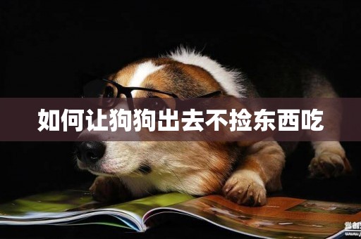 如何讓狗狗出去不撿東西吃