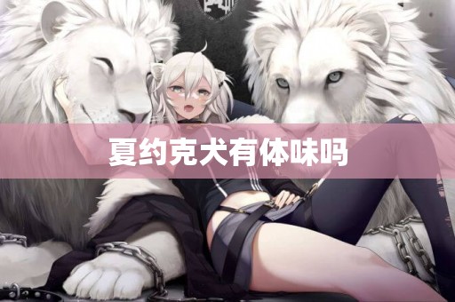 夏約克犬有體味嗎