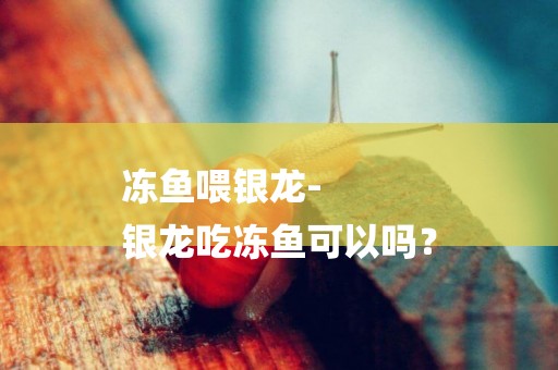 凍魚喂銀龍-
銀龍吃凍魚可以嗎？