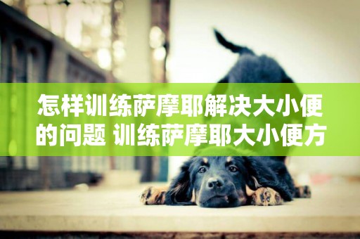 怎樣訓練薩摩耶解決大小便的問題 訓練薩摩耶大小便方法