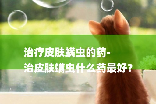 治療皮膚螨蟲的藥-
治皮膚螨蟲什么藥最好？