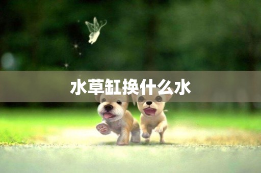 水草缸換什么水