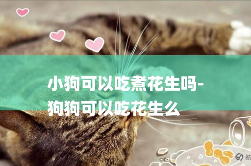 小狗可以吃煮花生嗎-
狗狗可以吃花生么