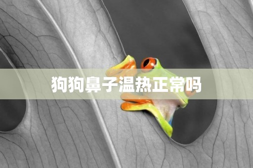 狗狗鼻子溫熱正常嗎