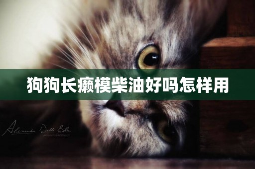 狗狗長癩模柴油好嗎怎樣用