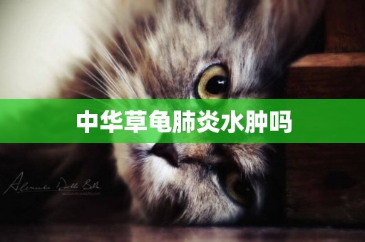 中華草龜肺炎水腫嗎