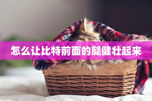 怎么讓比特前面的腿健壯起來