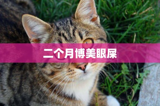 二個月博美眼屎