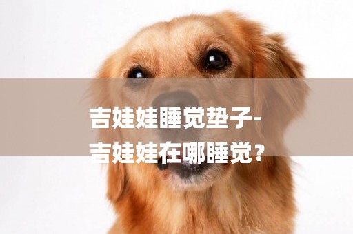 吉娃娃睡覺墊子-
吉娃娃在哪睡覺？