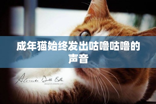 成年貓始終發出咕嚕咕嚕的聲音