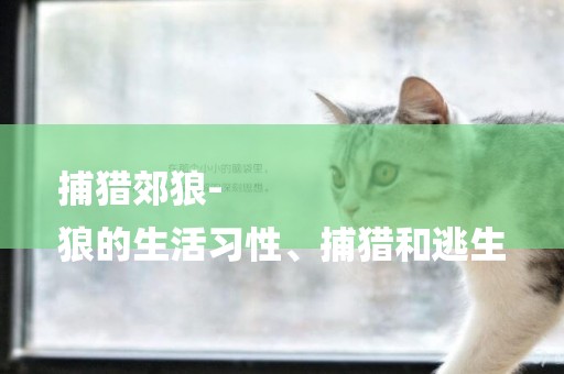 捕獵郊狼-
狼的生活習性、捕獵和逃生