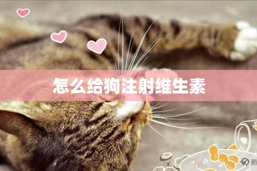 怎么給狗注射維生素