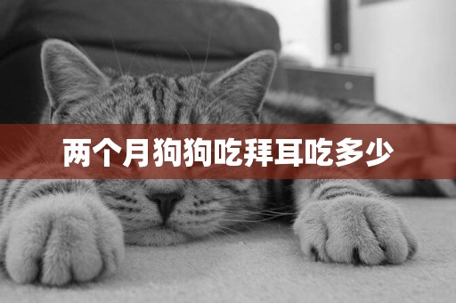 兩個月狗狗吃拜耳吃多少