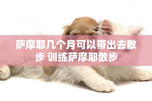 薩摩耶幾個月可以帶出去散步 訓練薩摩耶散步