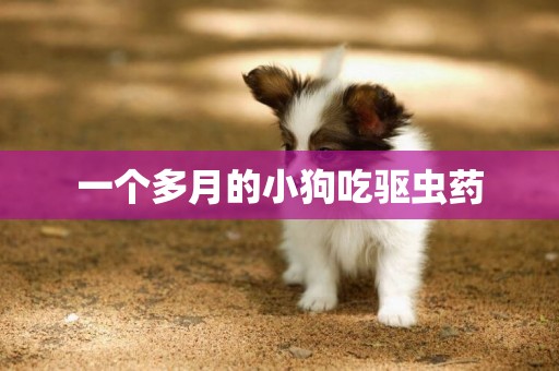 一個多月的小狗吃驅蟲藥