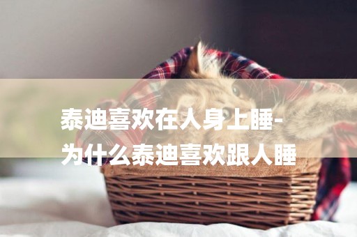 泰迪喜歡在人身上睡-
為什么泰迪喜歡跟人睡