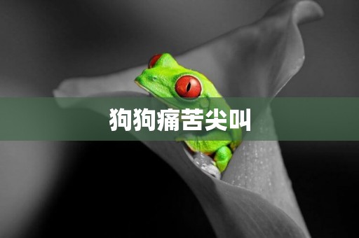 狗狗痛苦尖叫