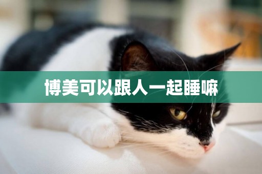 博美可以跟人一起睡嘛