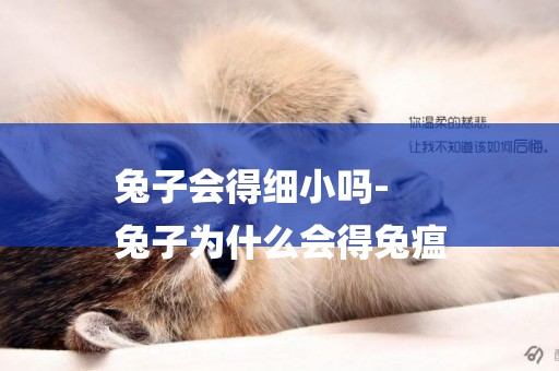 兔子會得細小嗎-
兔子為什么會得兔瘟