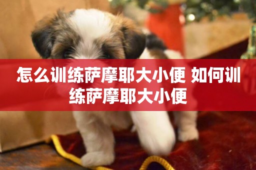 怎么訓練薩摩耶大小便 如何訓練薩摩耶大小便