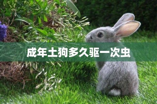 成年土狗多久驅一次蟲