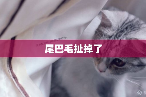 尾巴毛扯掉了