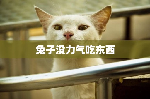 兔子沒力氣吃東西
