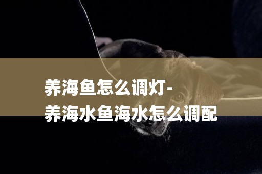 養海魚怎么調燈-
養海水魚海水怎么調配