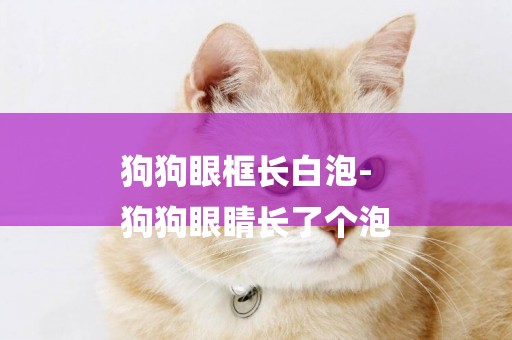 狗狗眼框長白泡-
狗狗眼睛長了個泡