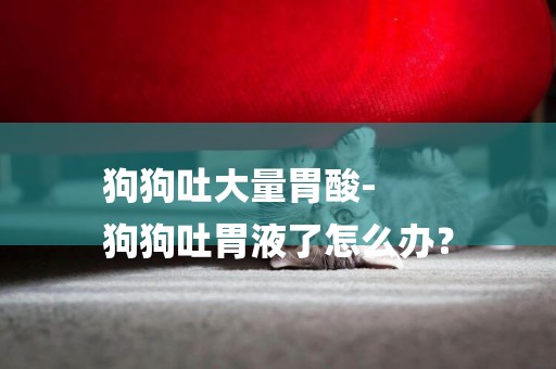 狗狗吐大量胃酸-
狗狗吐胃液了怎么辦？