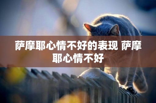 薩摩耶心情不好的表現 薩摩耶心情不好