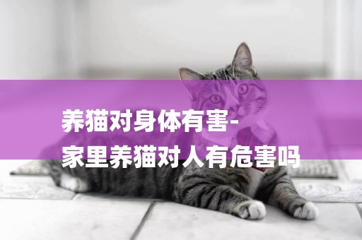 養貓對身體有害-
家里養貓對人有危害嗎