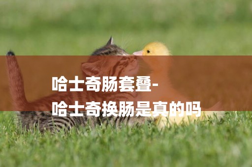 哈士奇腸套疊-
哈士奇換腸是真的嗎