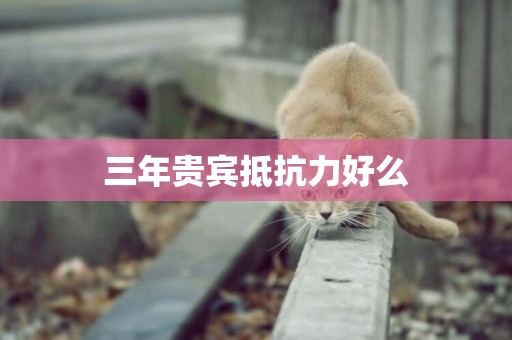 三年貴賓抵抗力好么