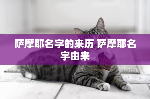 薩摩耶名字的來歷 薩摩耶名字由來