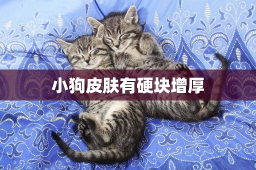 小狗皮膚有硬塊增厚