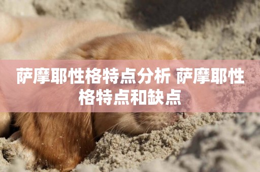 薩摩耶性格特點分析 薩摩耶性格特點和缺點
