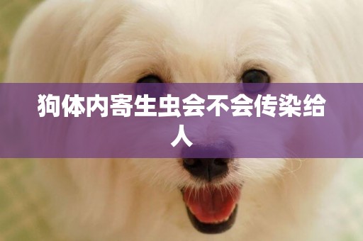 狗體內寄生蟲會不會傳染給人