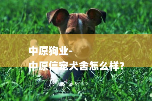中原狗業-
中原信寵犬舍怎么樣？