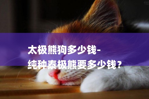 太極熊狗多少錢-
純種泰極熊要多少錢？