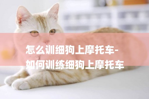 怎么訓細狗上摩托車-
如何訓練細狗上摩托車