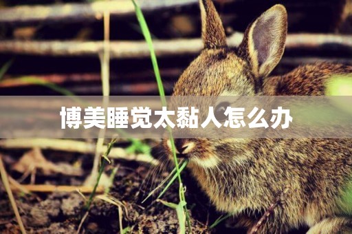 博美睡覺太黏人怎么辦