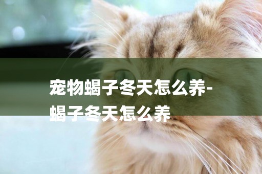 寵物蝎子冬天怎么養-
蝎子冬天怎么養