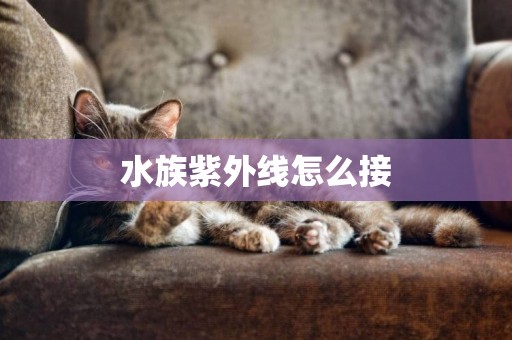 水族紫外線怎么接