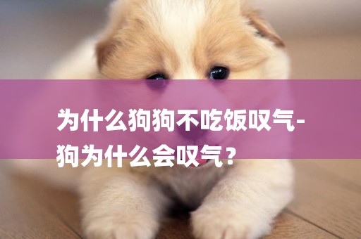 為什么狗狗不吃飯嘆氣-
狗為什么會嘆氣？
